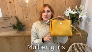 Mulberry Iris Review [upl. by Poucher]