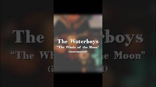 The Waterboys  quotThe Whole of the Moonquot 1985 instrumental cover [upl. by Nedak]