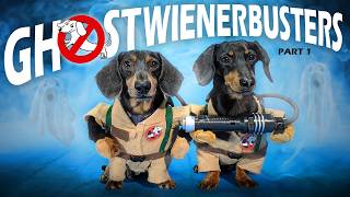 Ep 4 GHOSTWIENERBUSTERS  Funny amp Spooky Dog Video for Halloween [upl. by Euv]