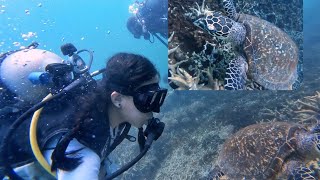 Tioman scuba diving with the turtle 🐢 [upl. by Eednim]