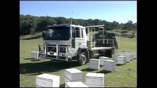 Australian Beekeeping  Apiculture in Australia [upl. by Catharina336]