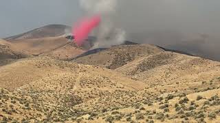 2024 Fire Season Midewin National Tallgrass Prairie [upl. by Lough]