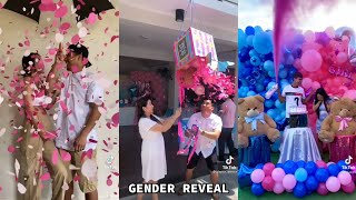 BEST GENDER REVEAL 😍 TikTok Compilation [upl. by Eseerehc]