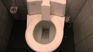 Scary Toilets in Switzerland [upl. by Teraj]