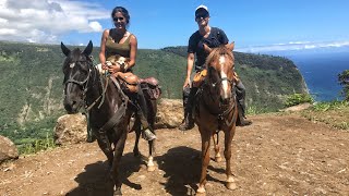 Hawaiis MOST Scenic Place  Horseback Riding the Waipio Valley Rim 🏞 DJi Mavic [upl. by Kenlay]