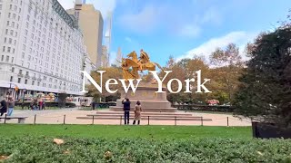 4K  Exploring Fifth Avenue Landmarks and Luxury in NYC travel beautiful video [upl. by Rimat]