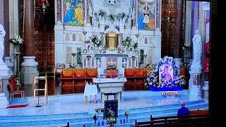 Church of the Most Holy Redeemer Clonard Monastery Belfast Northern Ireland [upl. by Aztiley]