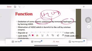 peroxisomes اولي طب السويس [upl. by Htrag]