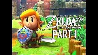 The Legend of Zelda Links Awakening Remake Walkthrough Part 1  Intro amp First Dungeon Switch [upl. by Moonier]