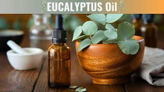 Eucalyptus Oil Benefits [upl. by Ahsimet]