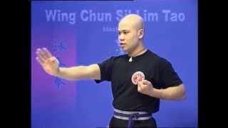 Wing Chun kung fu siu lim tao  form applications Lessons 110 [upl. by Torrie]