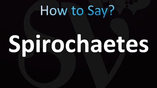 How to Pronounce Spirochaetes correctly [upl. by Nraa]