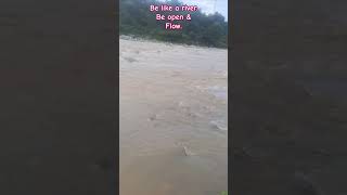 shorts beautifulnature saverivers kangra vyasriver motivationalsong [upl. by Notlehs]