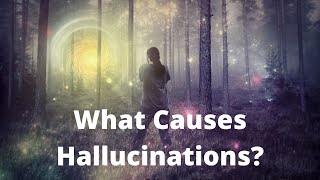 How Can You Tell If You are Hallucinating [upl. by Smitty687]