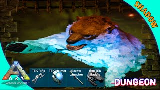 ark mobile EP36ลงดันเจี้ยน Affluent Halls of Solitude กัน เกมมือถือ dungeon map [upl. by Lustig]