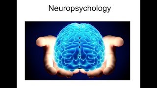 Neuropsychology 81 Memory and the Brain [upl. by Hsreh]