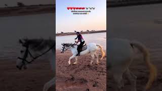 VLOG  Vacances au MAROC 🇲🇦🏝️🏄‍♂️ [upl. by Edd]