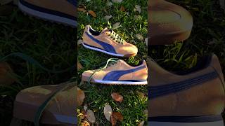 Using Angelus suede dye on Puma Roma sneakers angelus puma customshoes asmrvideo [upl. by Neffirg]