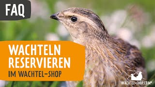 FAQ Wachteln reservieren im WachtelShopcom [upl. by Atiluj]