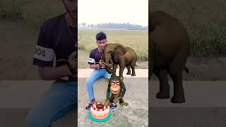 😓Hathi aur💯 monkey 🐒virlshort 🥰trendingshorts ytshortsvideo [upl. by Boardman]