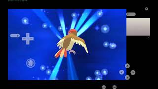 Pidgey is Evolving   Pokémon X and Y  Universe Gaming [upl. by Garling]