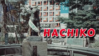 Hachiko The Japanese Dog Who Made All Nations Cry  Japan  Namo Herz Art [upl. by Esille995]