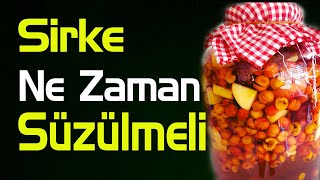 Sirke ne zaman süzülmeli  Sirke nasıl süzülür [upl. by Garceau]