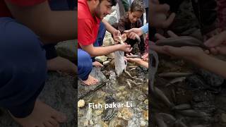 Fish pakar Li  fishing fishing fish fishingvideo short viralvideo [upl. by Euk792]