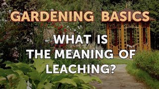 What Is the Meaning of Leaching [upl. by Rosalee]