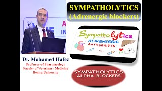 AUTONOMIC Part 2 Alpha Adrenergic Blockers [upl. by Eus]