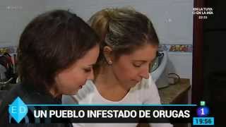 Un pueblo infestado de orugas  España Directo RTVE [upl. by Karlie826]