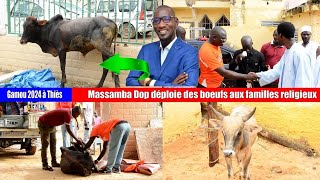 Gamou 2024 Massamba Diop déploie des bœufs aux familles religieuses de la zone nord [upl. by Ehsrop]