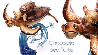 Sea Turtle [upl. by Mundford]