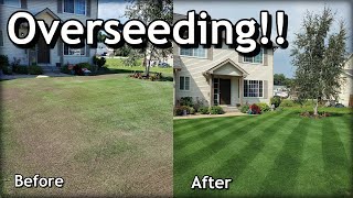 How To OVERSEED Your Lawn in SPRING  Complete Step by Step Guide [upl. by Vig]