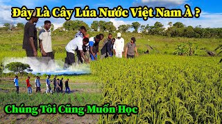 Quang Dũng  Các Anh Thợ Xây Cũng Rất Muốn Làm Nông Nghiệp Khi Lần Đầu Tiên Được Nhìn Thấy Cây Lúa [upl. by Marquet]