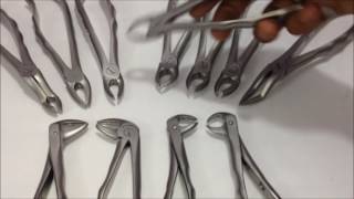 How to use GDC Dental Extraction Foreceps Set of 12 [upl. by Ajuna]