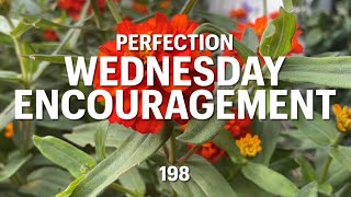 Wed Encouragement Perfection [upl. by Ornas]