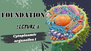 Cytoplasmic Organelles 1 [upl. by Rozalin]