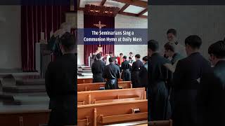 The Seminarians Sing a Communion Hymn at Daily Mass [upl. by Rayle505]