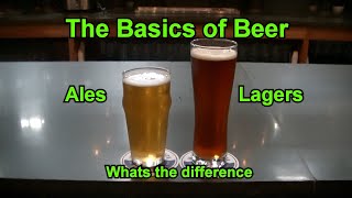 Beer 101  The Basics of Beer  Whats the difference between Lagers and Ales  Lager vs Ale [upl. by Saw718]