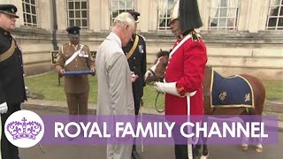 Prince Charles Presents Jubilee Medal to Regimental Pony [upl. by Sonaj760]