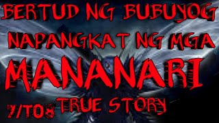 BERTUD NG BUBUYOG NA NILAGAY SA TARI NG MANOK SABONG STORY [upl. by Ahtimat]