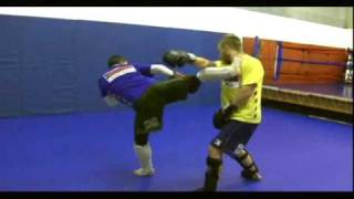 Basic Muay Thai High Kick [upl. by Gulick]