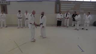 Judo with Bob Rea Back to Basics  5 Hip Throws [upl. by Esilehc]