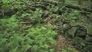 Finger Lakes Trail  Waterfalls Of Pharsalia [upl. by Sivehc]