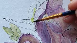 Painting Hellebore Flowers in Pen and Watercolor [upl. by Corneille594]