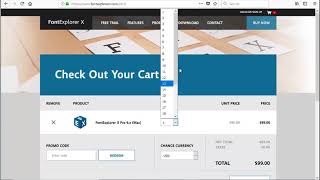 FontExplorer X Pro 30 OFF coupon code [upl. by Beauregard353]