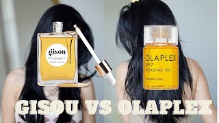 GISOU VS OLAPLEX NO 7 BONDING HAIR OIL [upl. by Nixon]