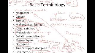 Introduction to Cancer [upl. by Ahsaercal]