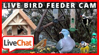 🔴247 LIVESTREAM 3  BIRDFEEDER  VOGELFUTTER STATION  FLUSSCAM BUXTEHUDE  Germany [upl. by Reamy]